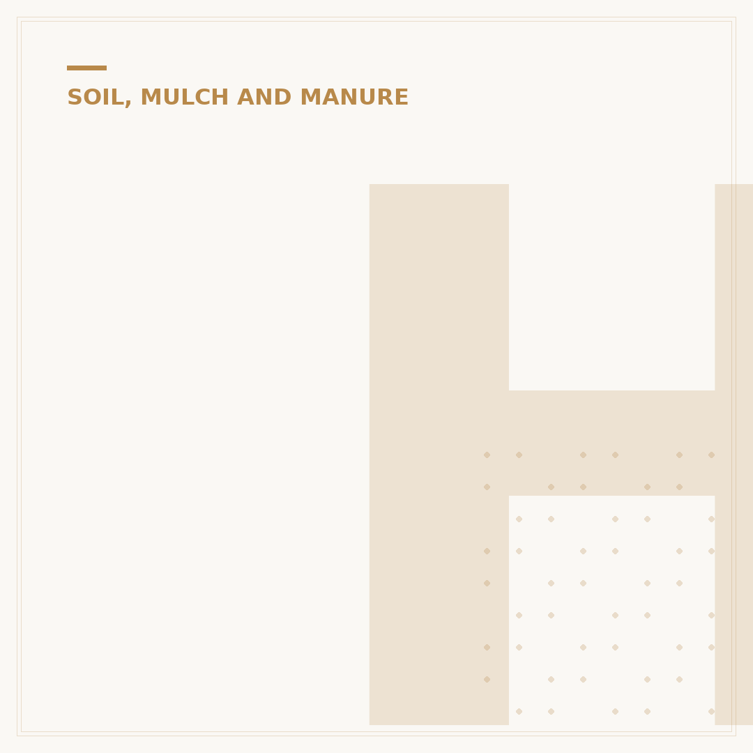 How to Improve the Soil in Your Garden