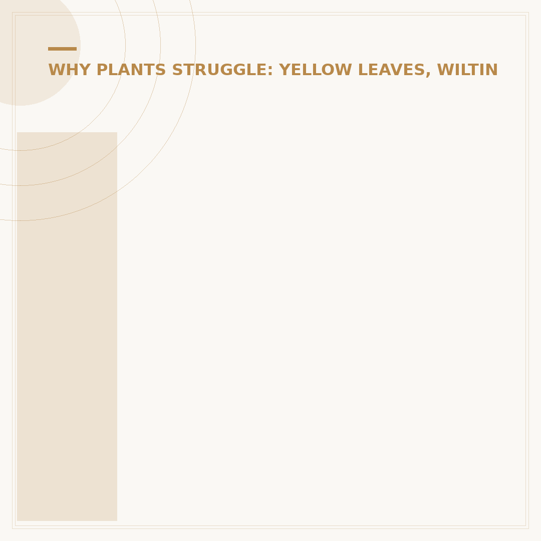 Indoor Plant Leaves Turning Brown: Causes & Fixes