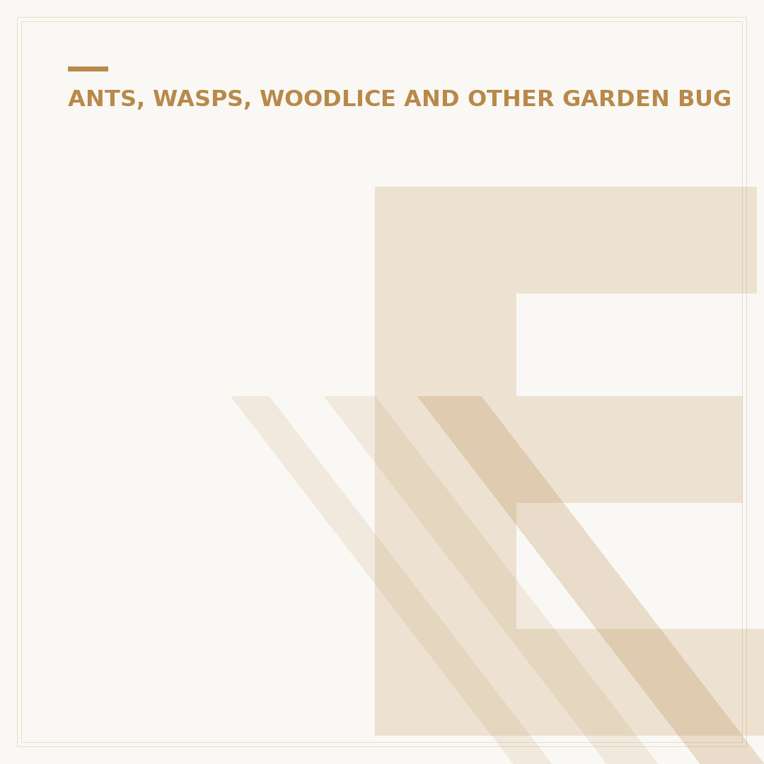 Earwig Insects: Identification, Habits and Control