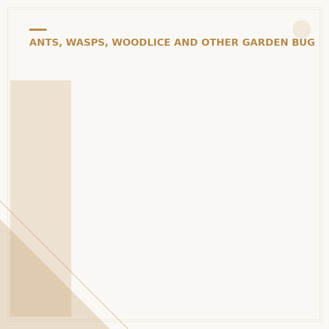Inside a Wasps Nest: What to Expect & Alternatives