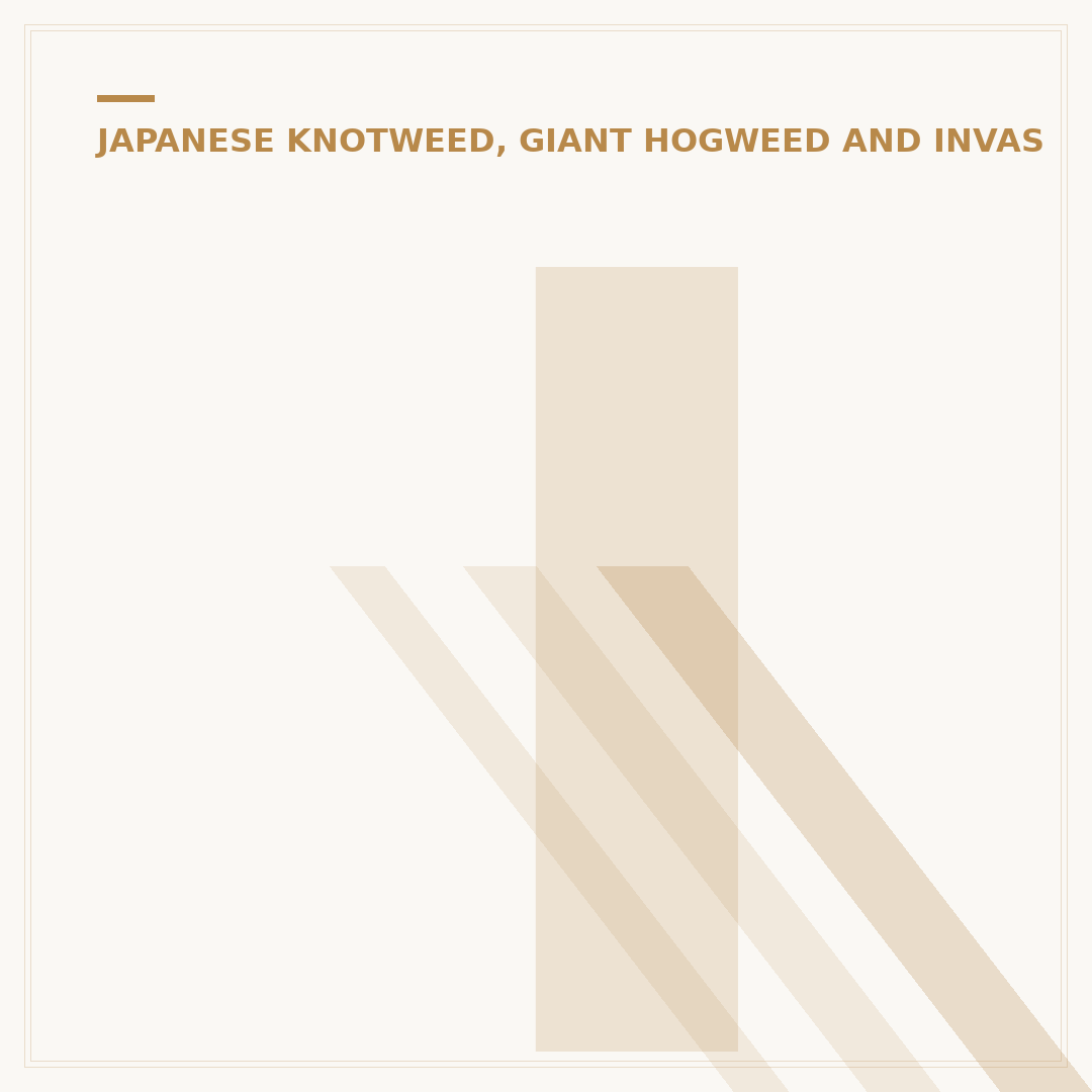 Isle of Wight Japanese Knotweed: Identification & Control