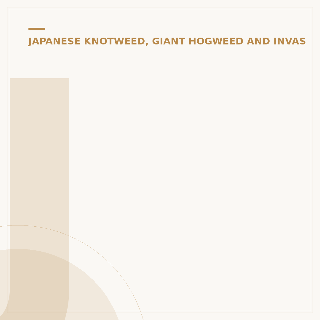Japanese Knotweed in Autumn: Identification & Management