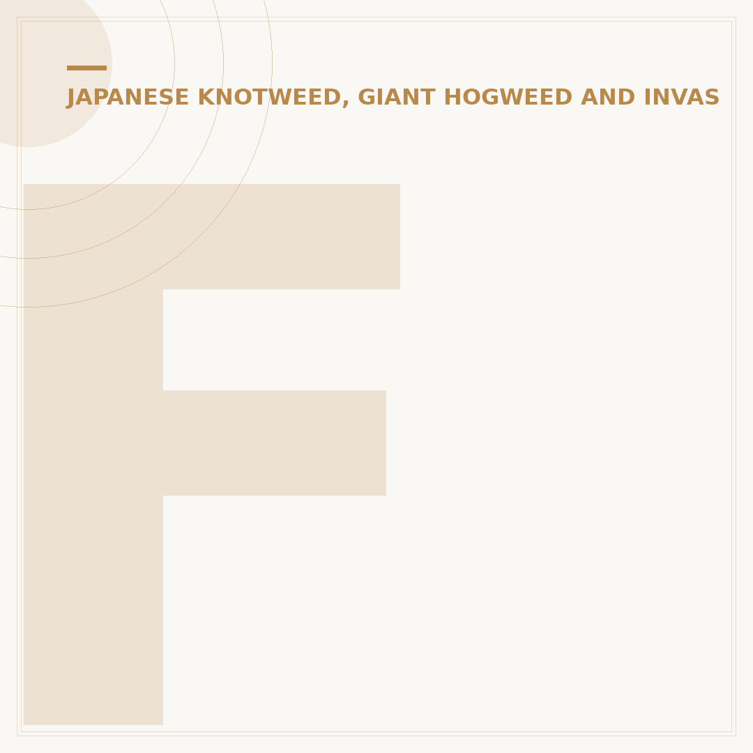 Finding a Japanese Knotweed Company: Options & What to Check