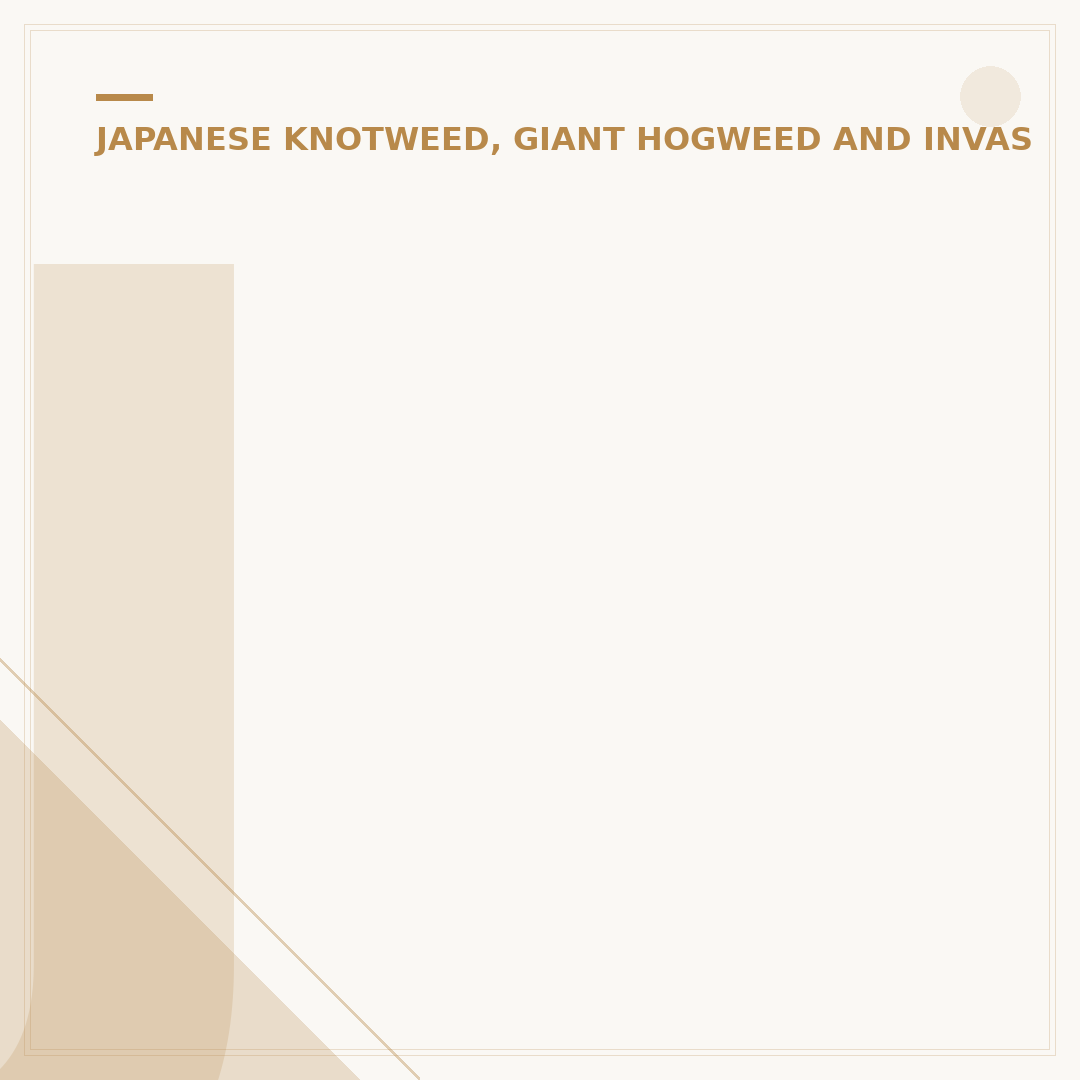 Japanese Knotweed Map: Find Infestations Near You
