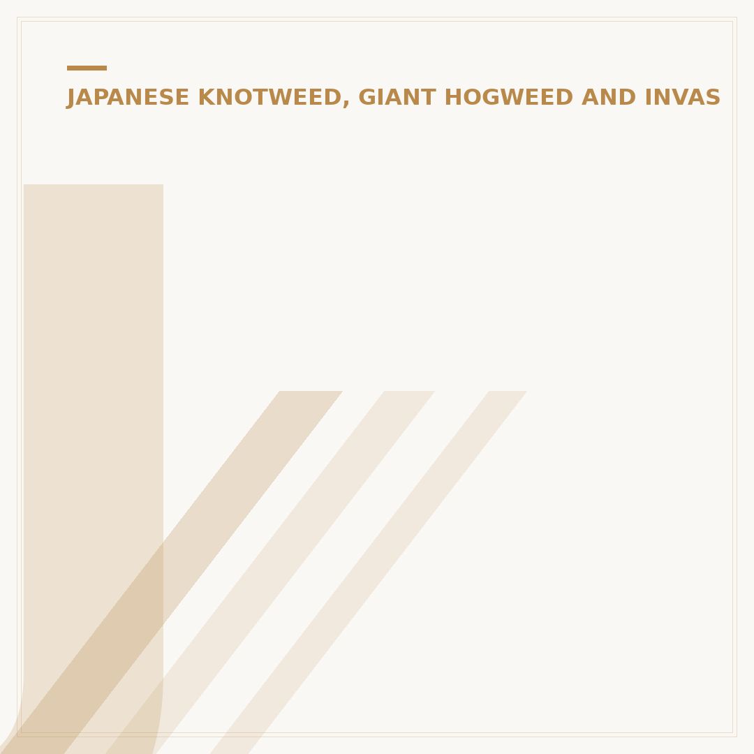 Japanese Knotweed Solutions: Identification & Control