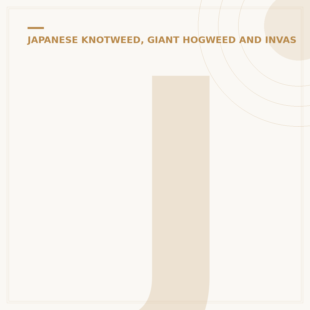 Japanese Knotweed Treatment Options Explained