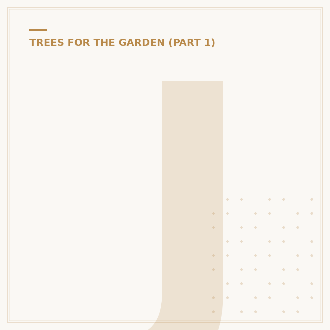 Japanese Maple Tree (Acer Palmatum): A Buyer's Primer