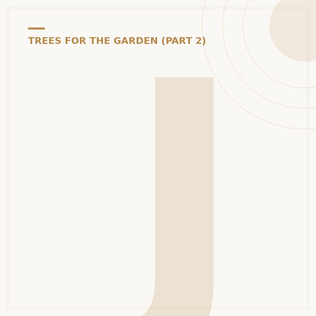 Japanese Maple Care: Growing Acers Beautifully
