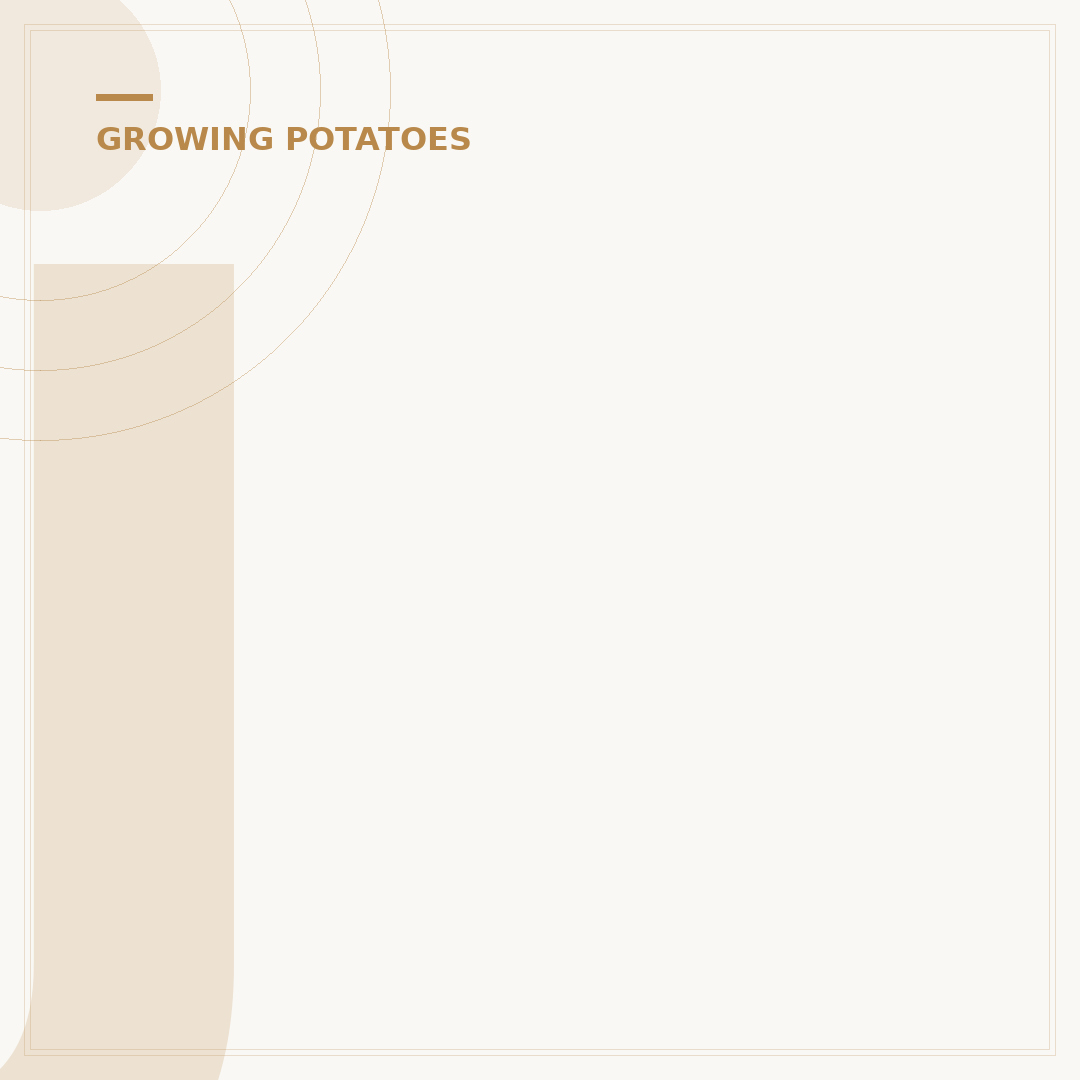 Jersey Royal Seed Potatoes: Grow Your Own Early Crop
