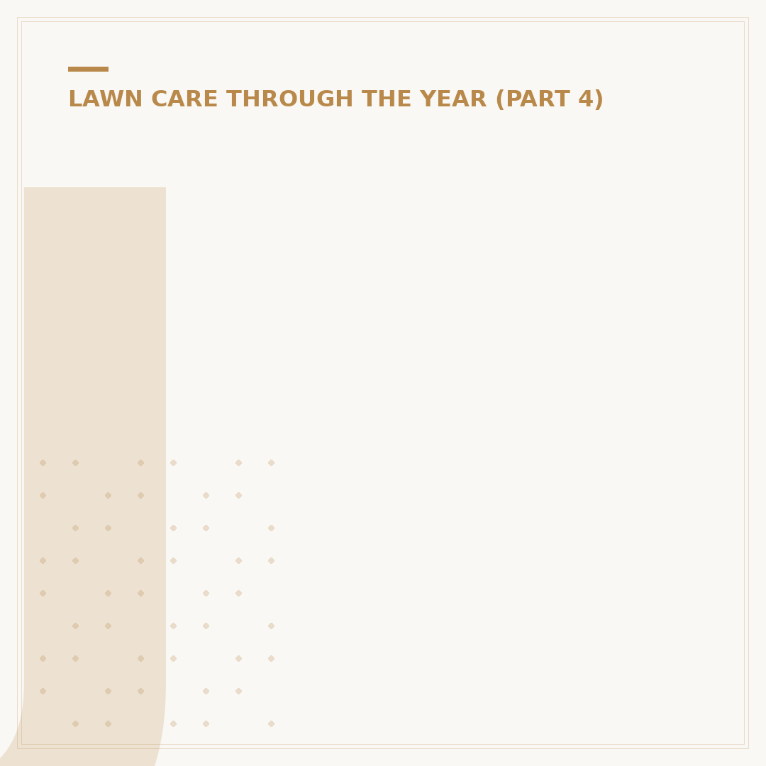 Joe's Lawn Care: Choosing a Service & Alternatives