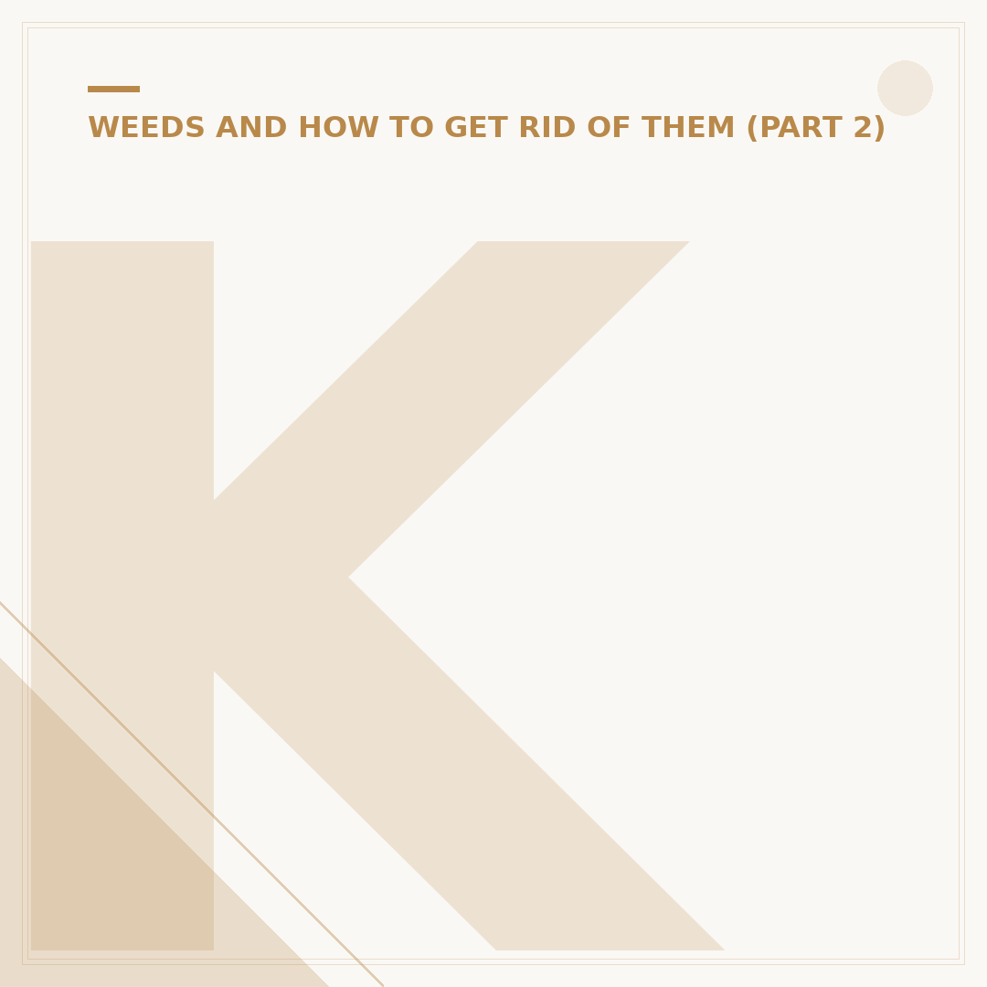 Katie Weeds: What They Are & How to Identify Them