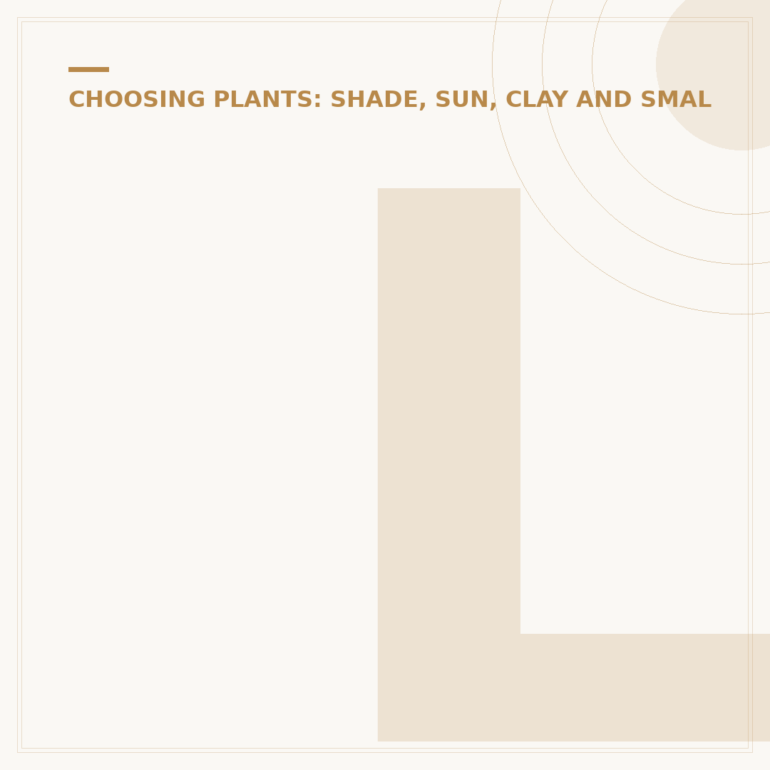 Large Evergreen Shrubs for Year-Round Garden Structure