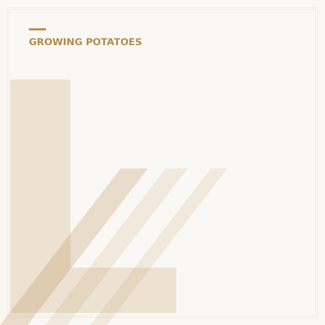 Late Blight Potatoes: Identify, Treat, and Prevent