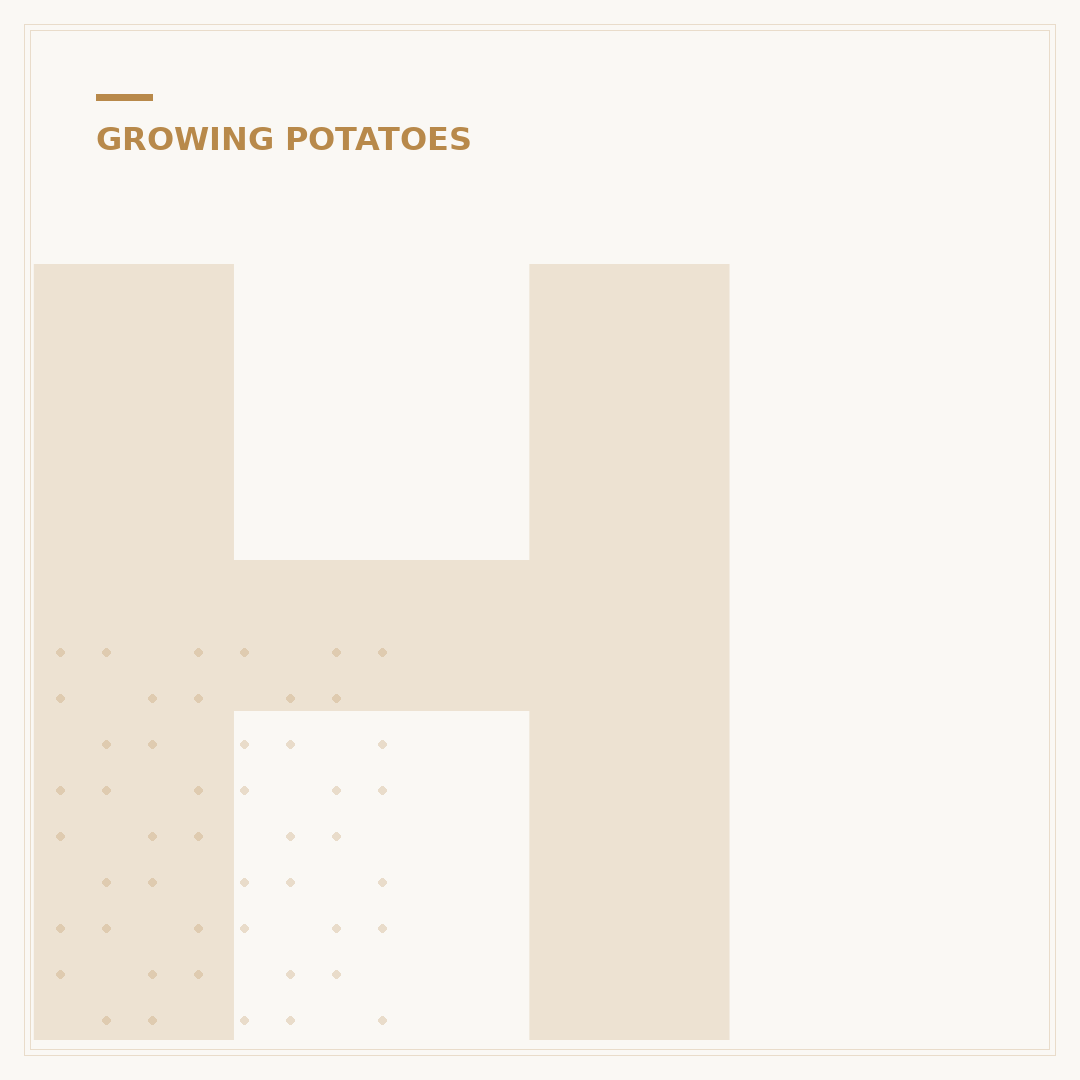 How Late Can You Plant Potatoes UK?