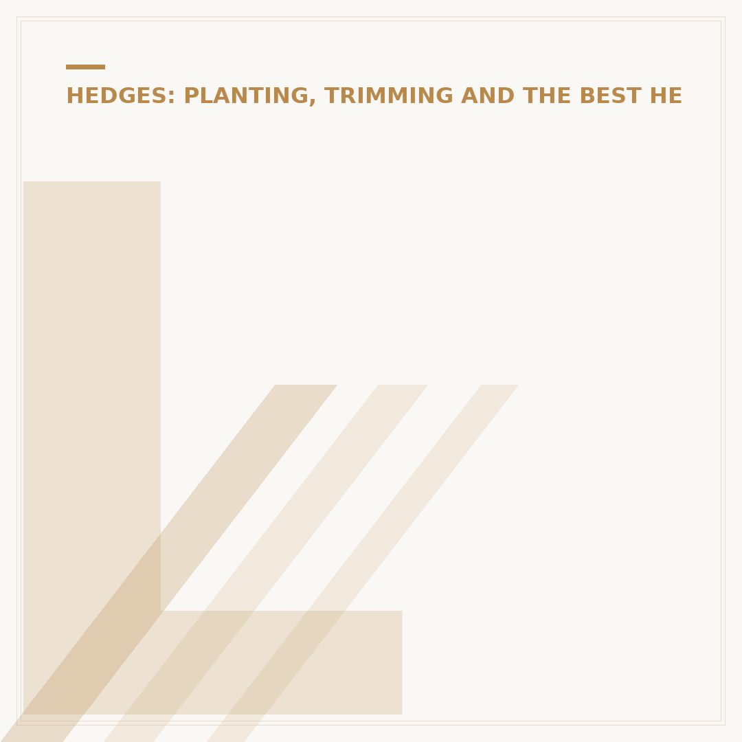 Laurel Hedge Planting Distance: Space For Growth