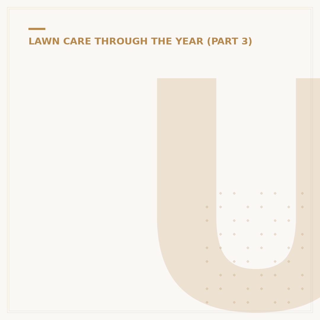 Understanding Lawn Care Packages: What's Included?