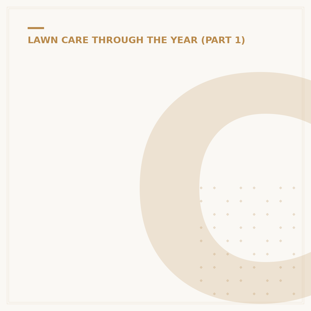 Chicago Lawn Lanes: What They Are & How to Find Them