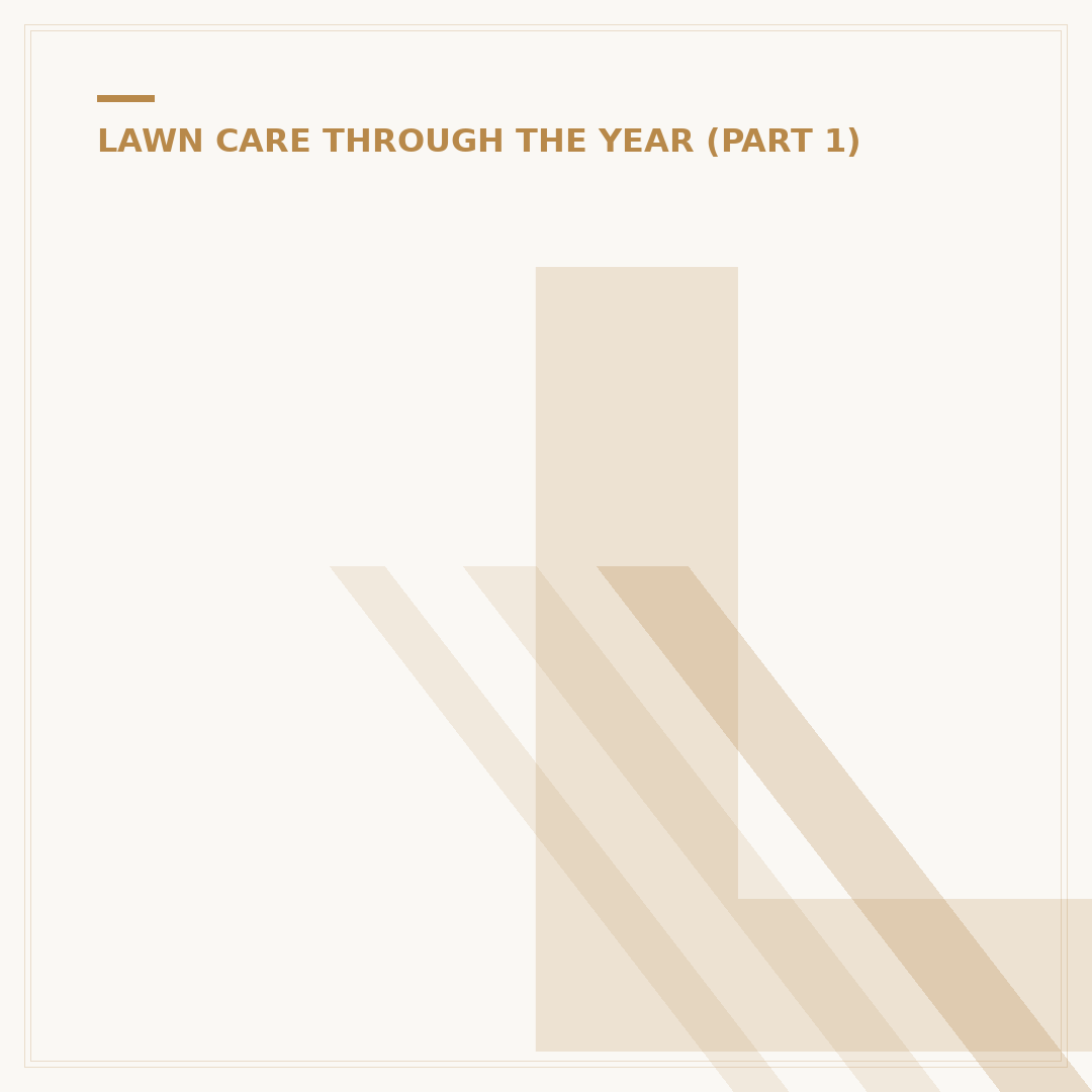 Lawn Mowing: How to Mow Your Lawn Effectively