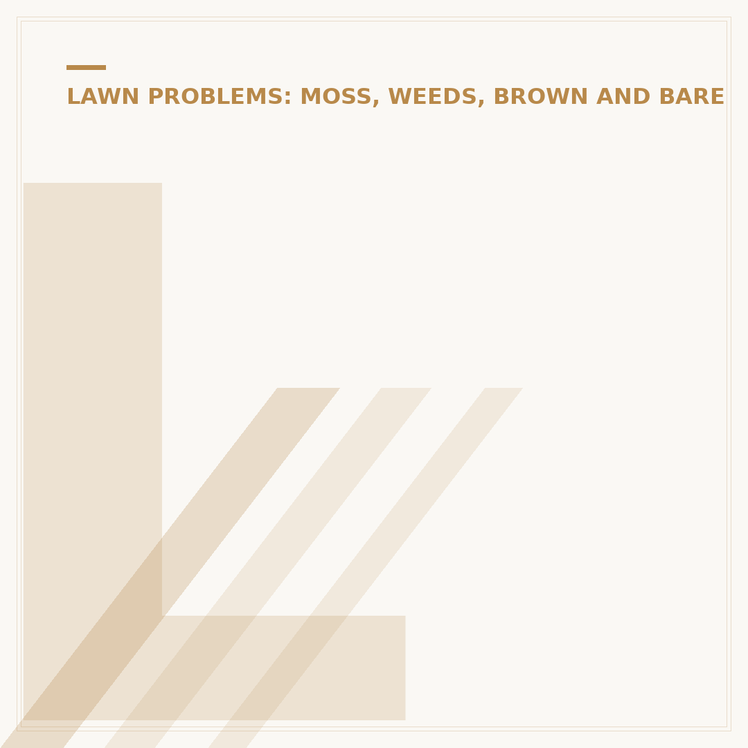Lawn Removal Tool: Methods for Clearing Grass