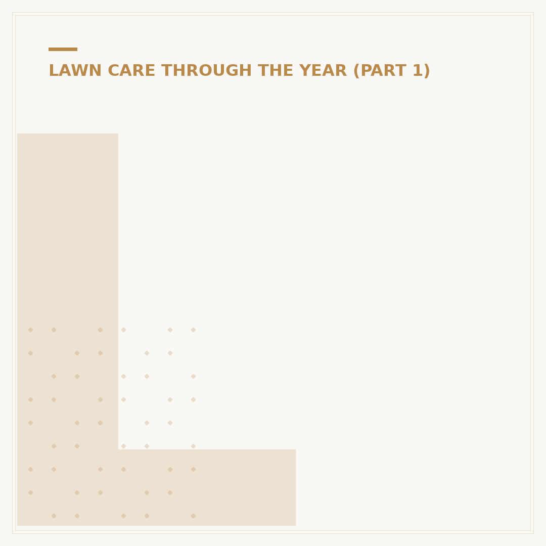 Lawn Scarification: What It Is and Why Your Grass Needs It