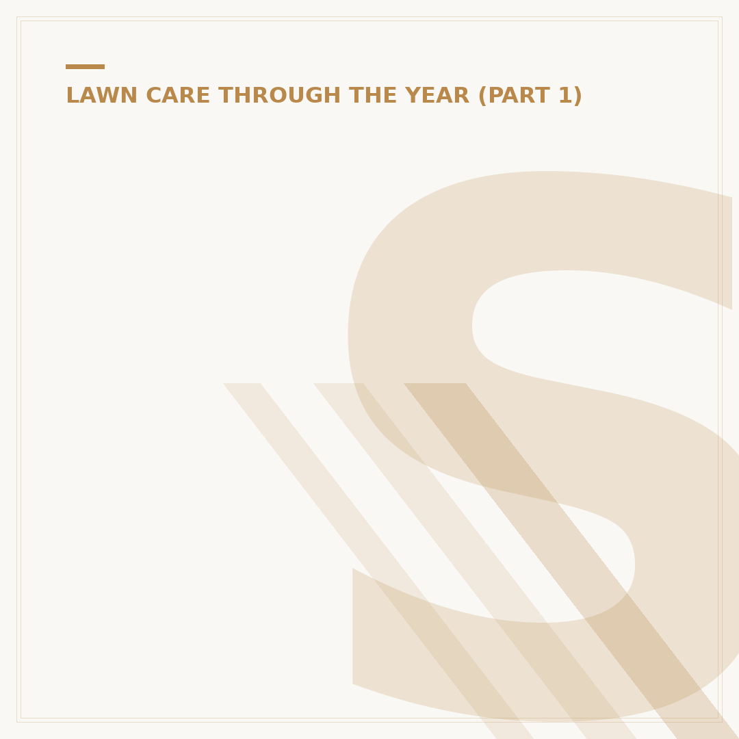 Scarifying Your Lawn: When, Why, and How To Do It
