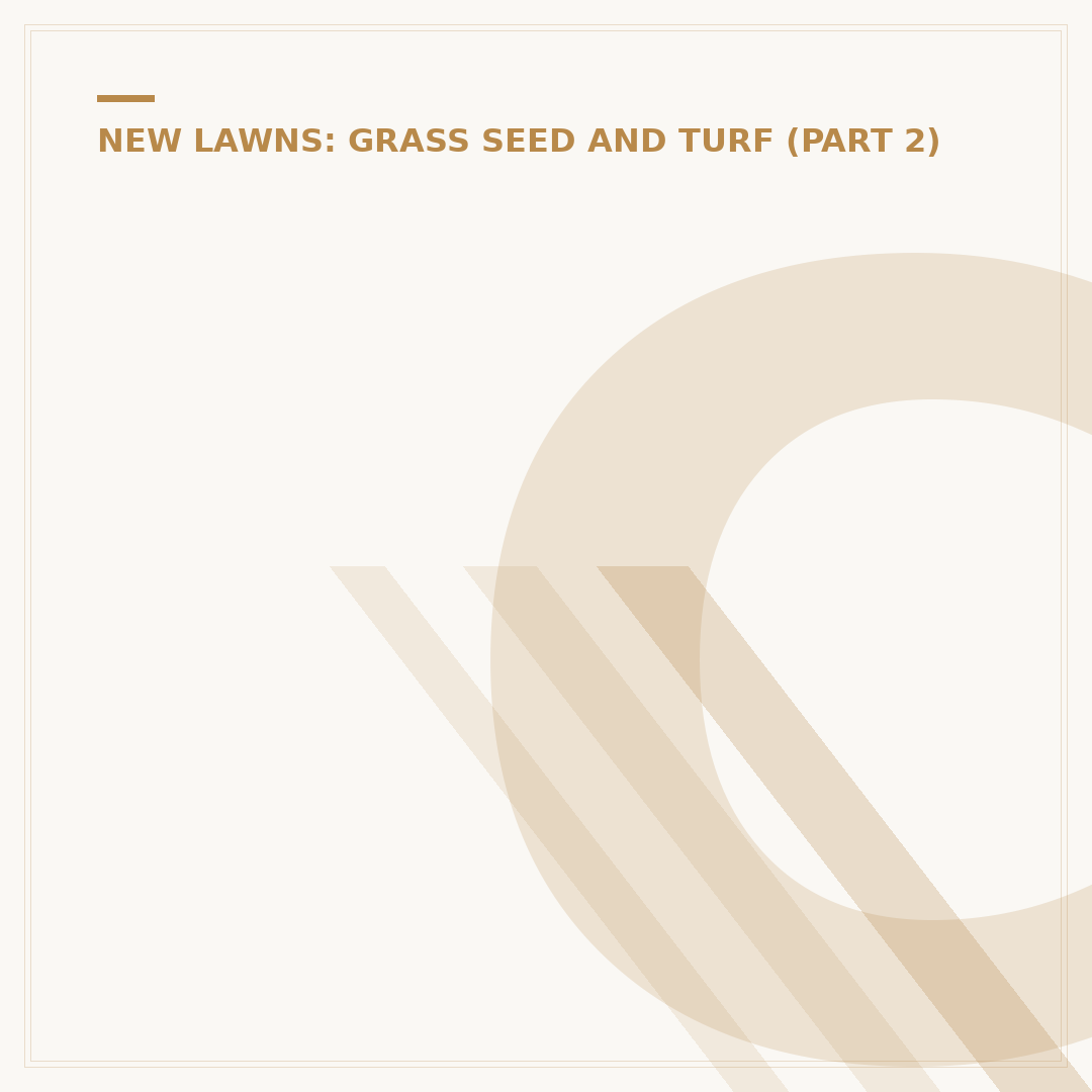 Can You Lay Turf in the Rain? Expert Advice