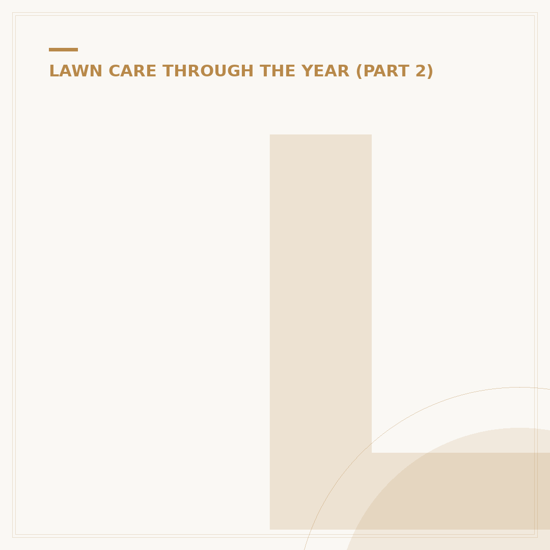 Lazy Lawn: Understanding Low-Maintenance Gardening