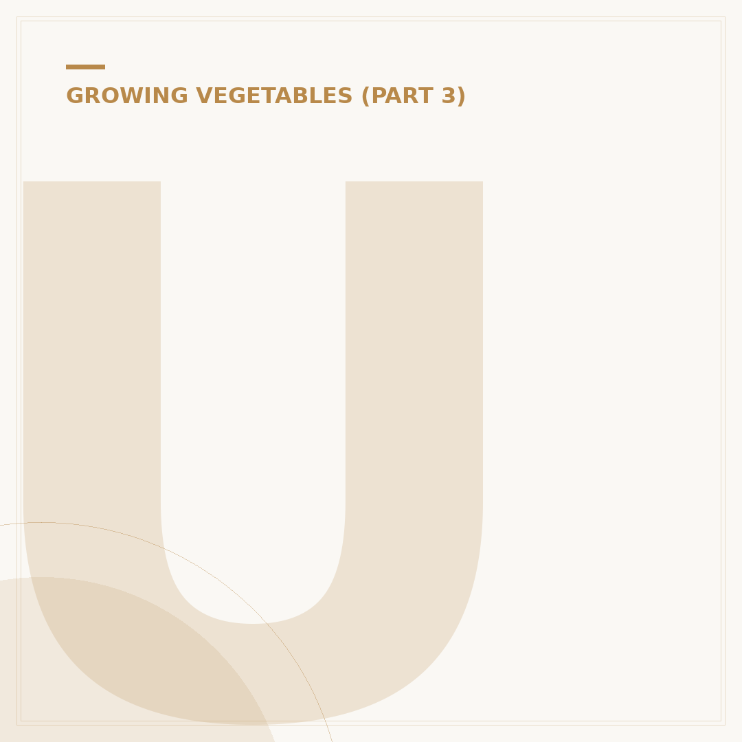 Understanding Leeks Growing Stages for Gardeners