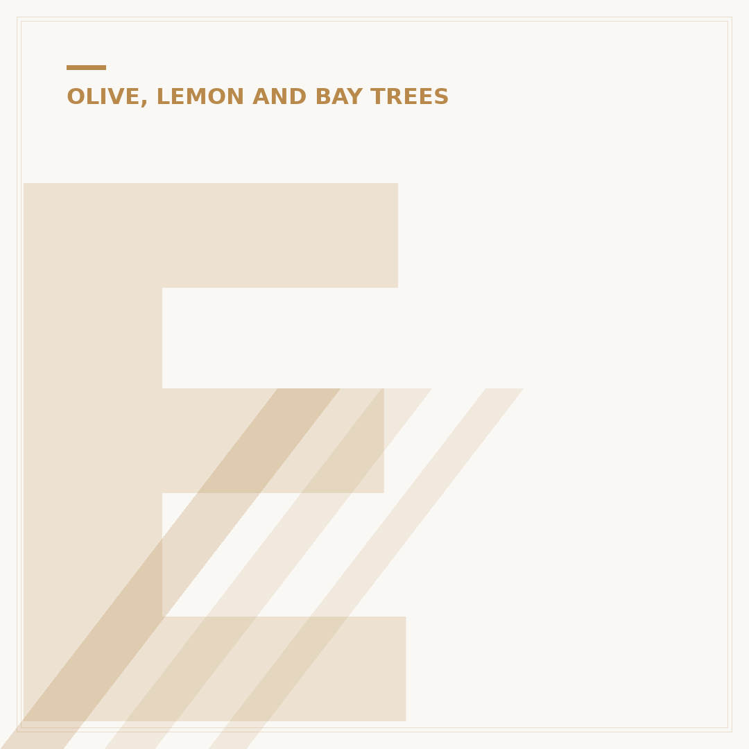 Explore Different Lemon Tree Varieties for Your Garden