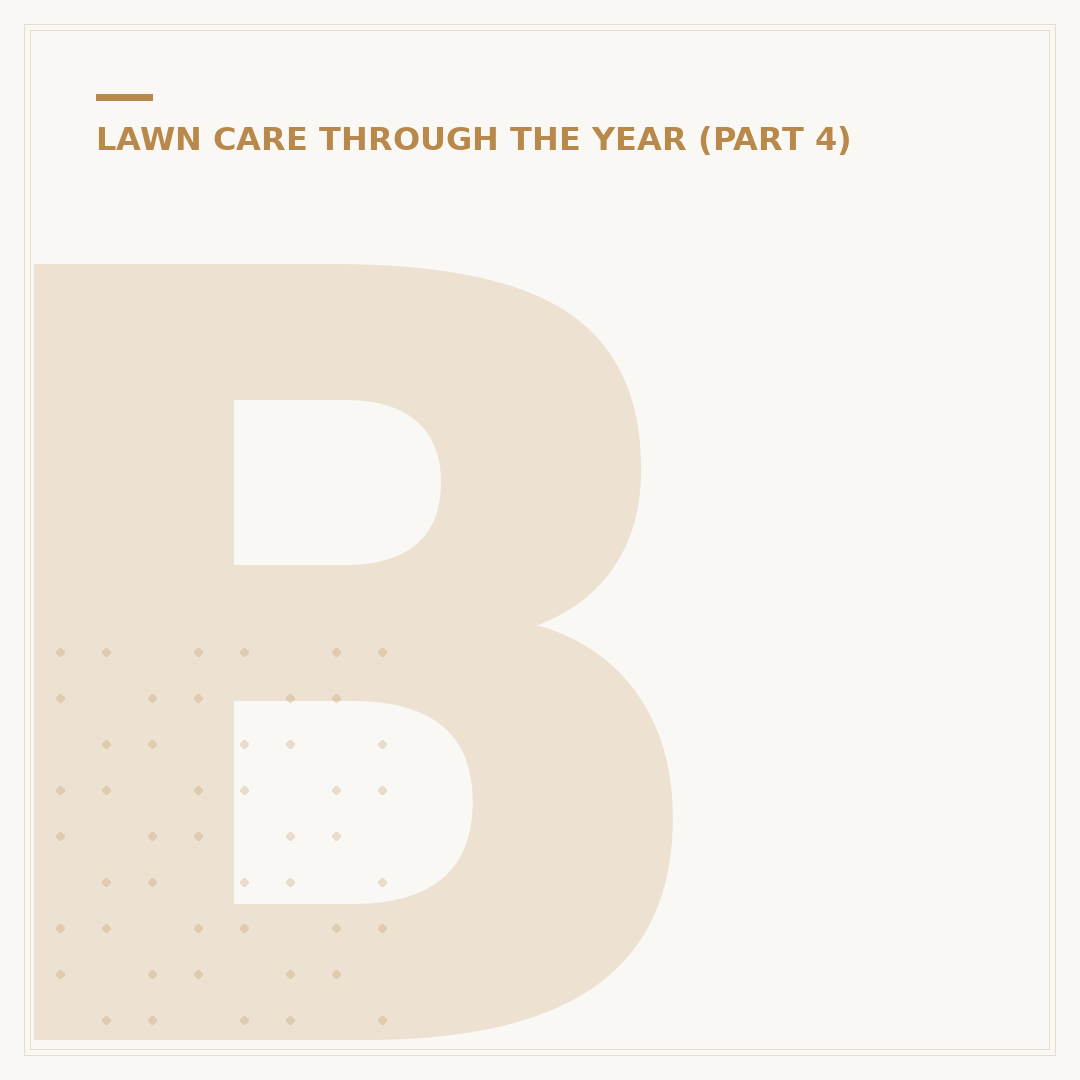 Best Way to Level a Lawn: Methods & Solutions