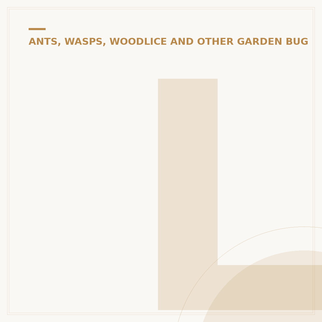 Little Black Bugs on Plants: Identification & Control
