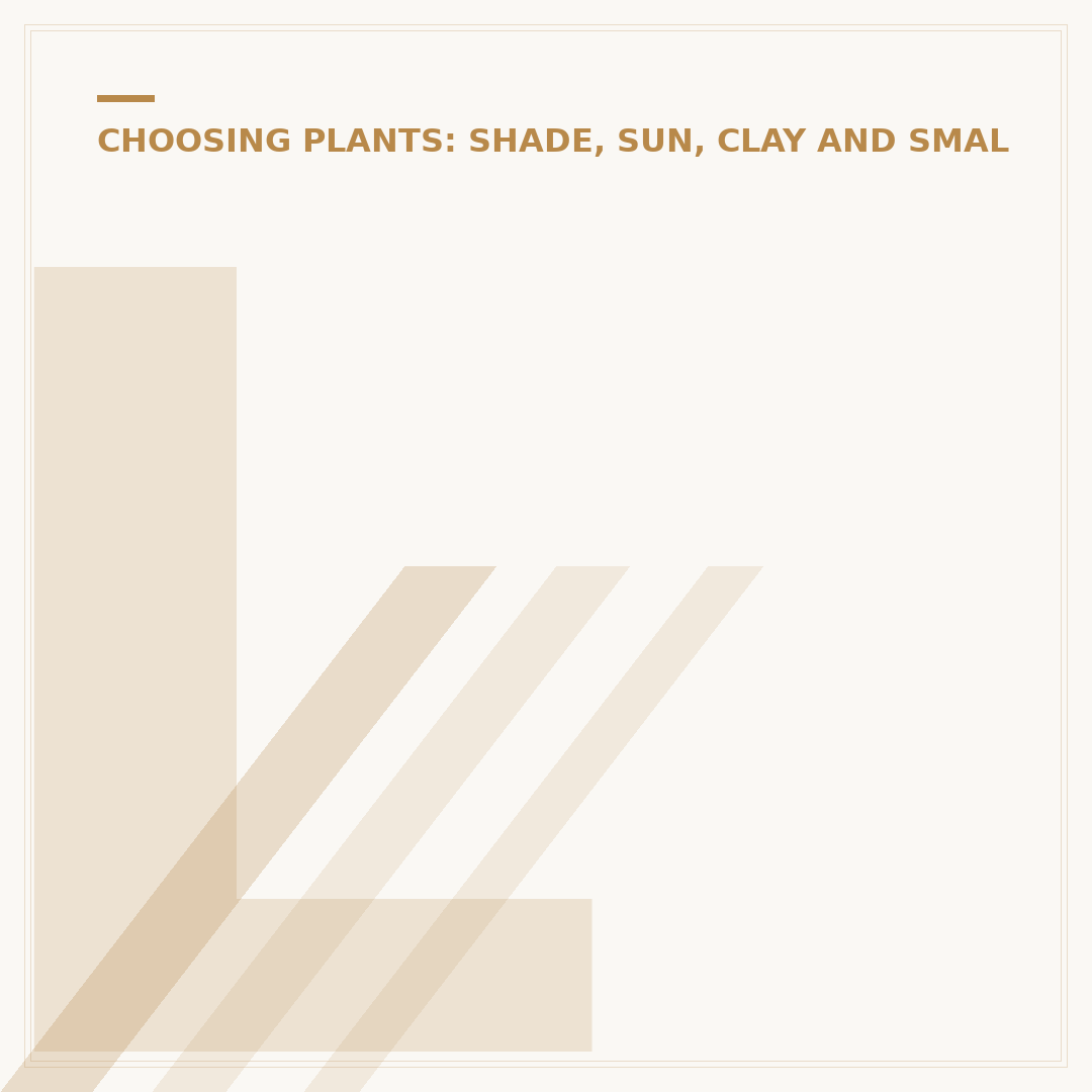 Low Growth Ground Cover: Solutions for Neat Gardens