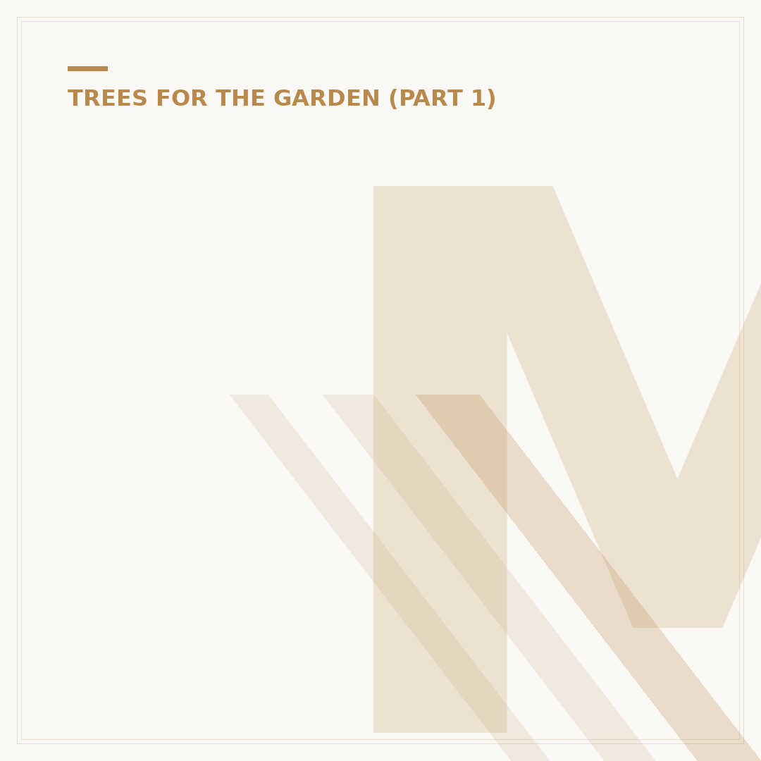 Magnolia Tree: Varieties, Care, and Planting Advice