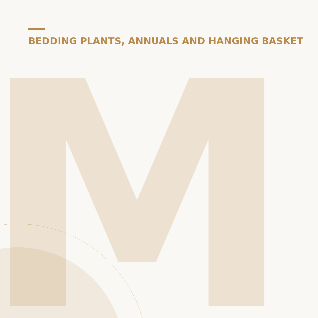 Marigold Plant Meaning: Symbolism and Uses