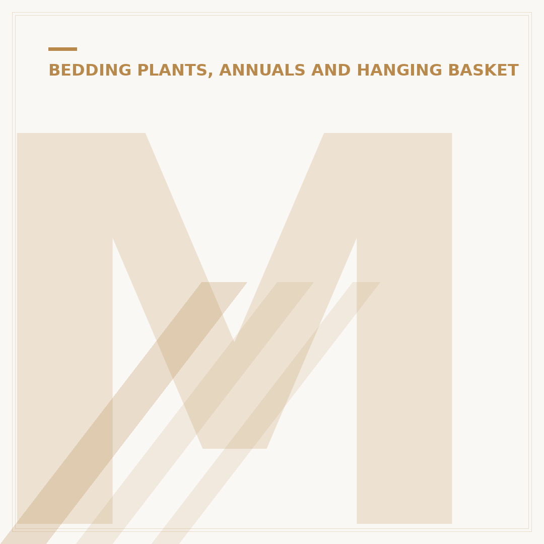 Marigold Plant Varieties