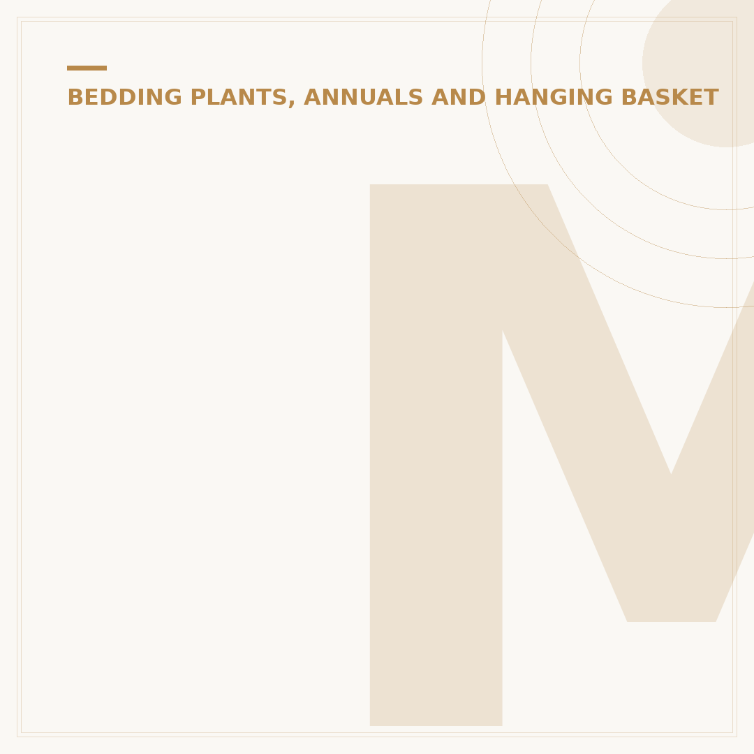 Marigolds From Seeds: Planting and Care Alternatives