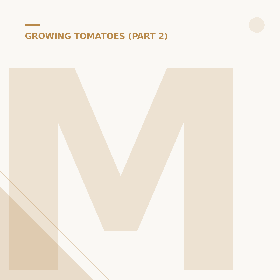 Marzano Tomatoes Growing: Cultivation Tips & Varieties