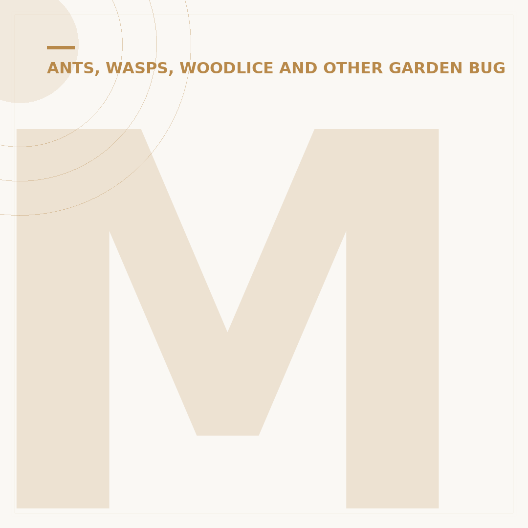 Mealy Bugs on Plants: Identification and Control