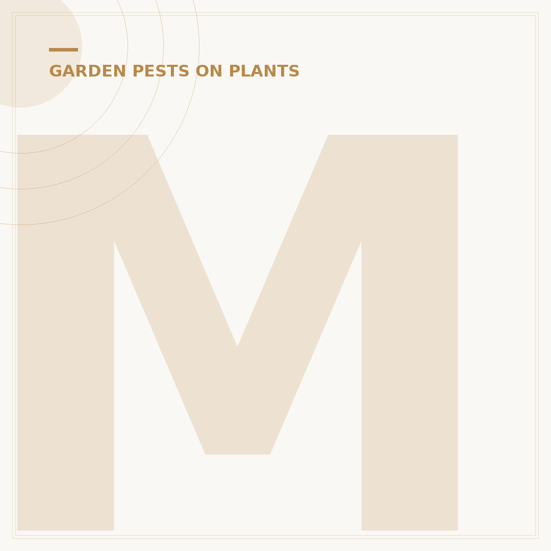 Mealybugs on Plants: Identify and Control Infestations