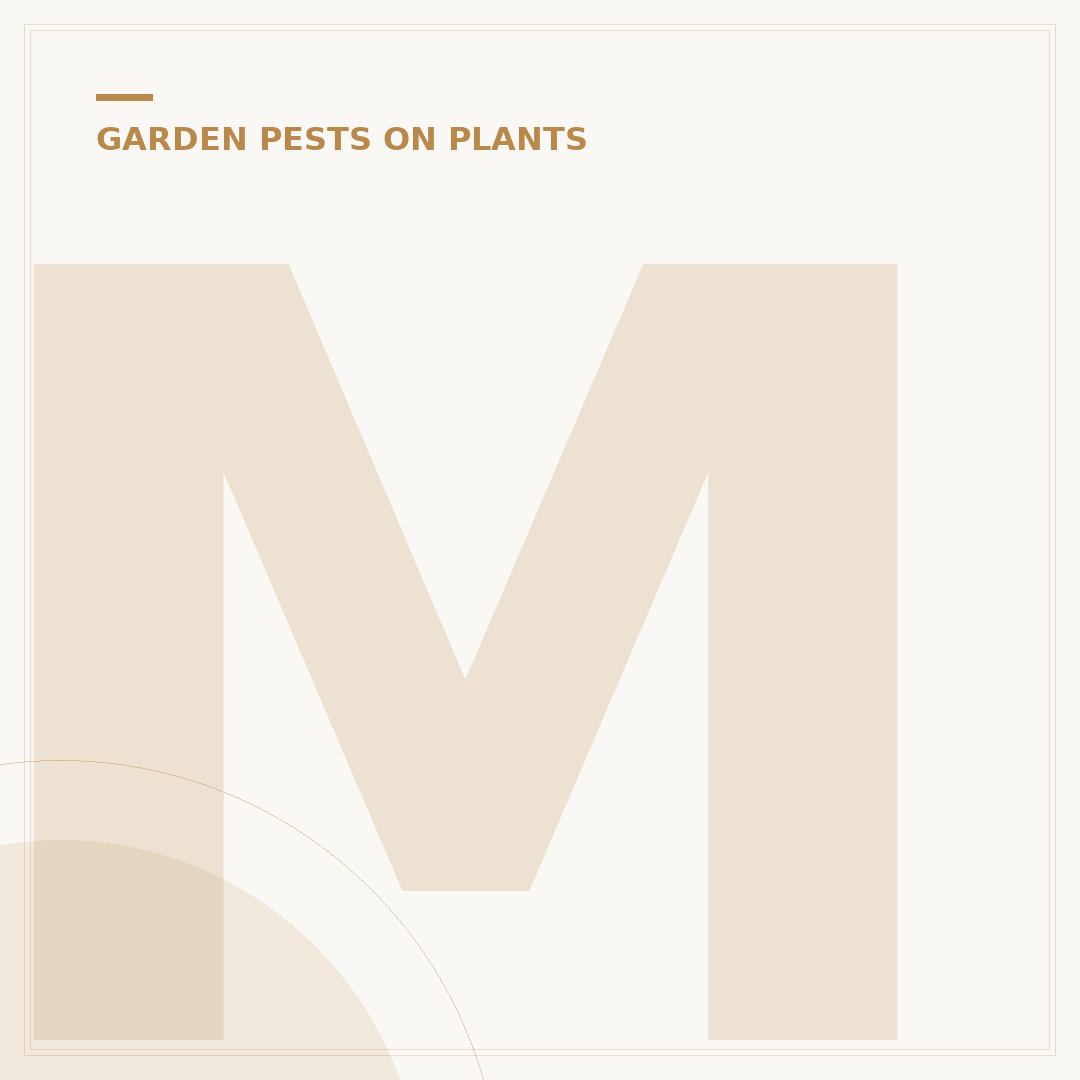 Mealybug Treatment: Dealing With Soft-Bodied Pests