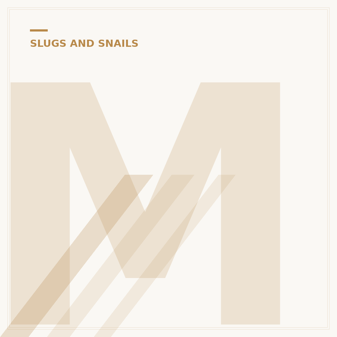 Mega Slugs: What They Are and Alternatives