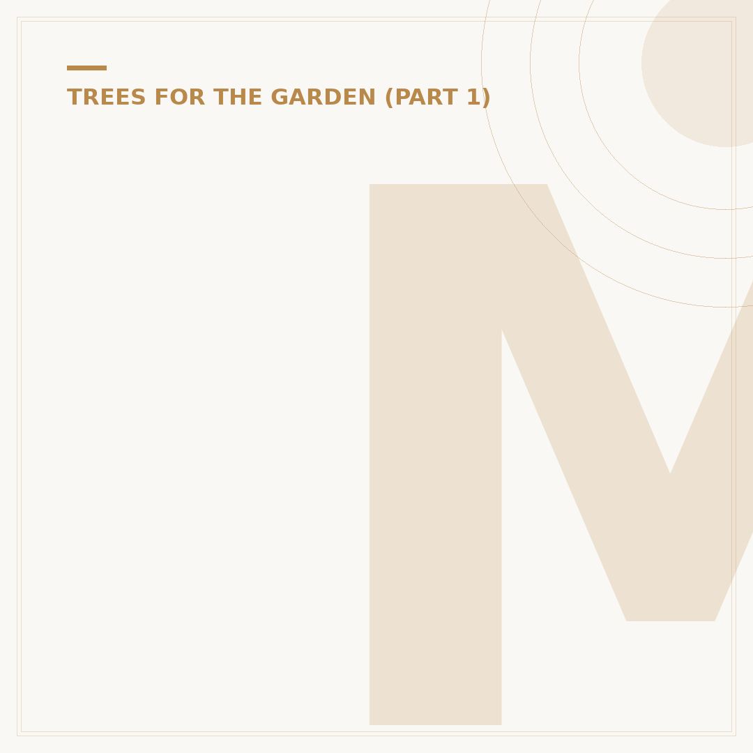Michael Craig Martin: Understanding An Oak Tree