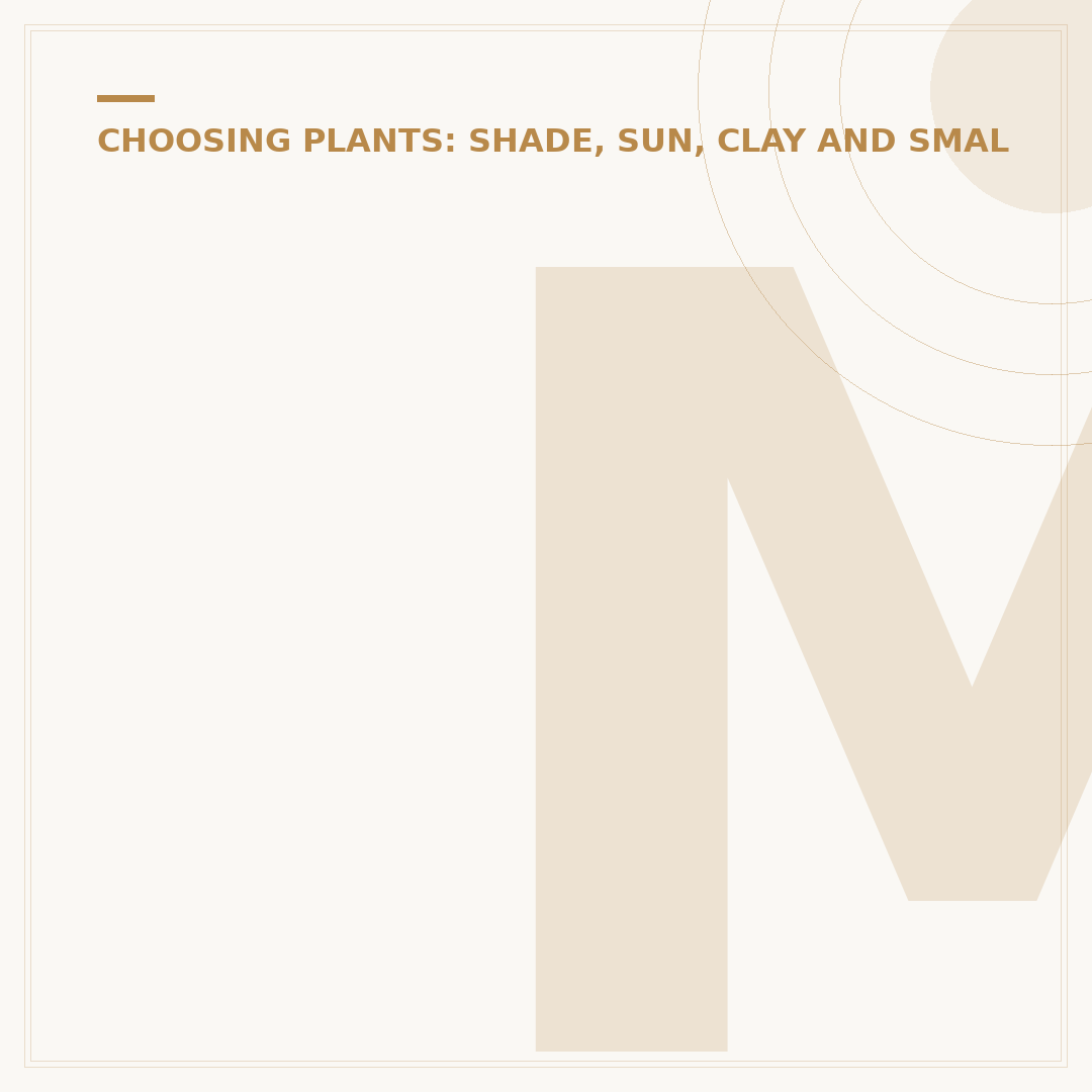 Miniature Shrubs for Shade: Small Plants for Dim Spots