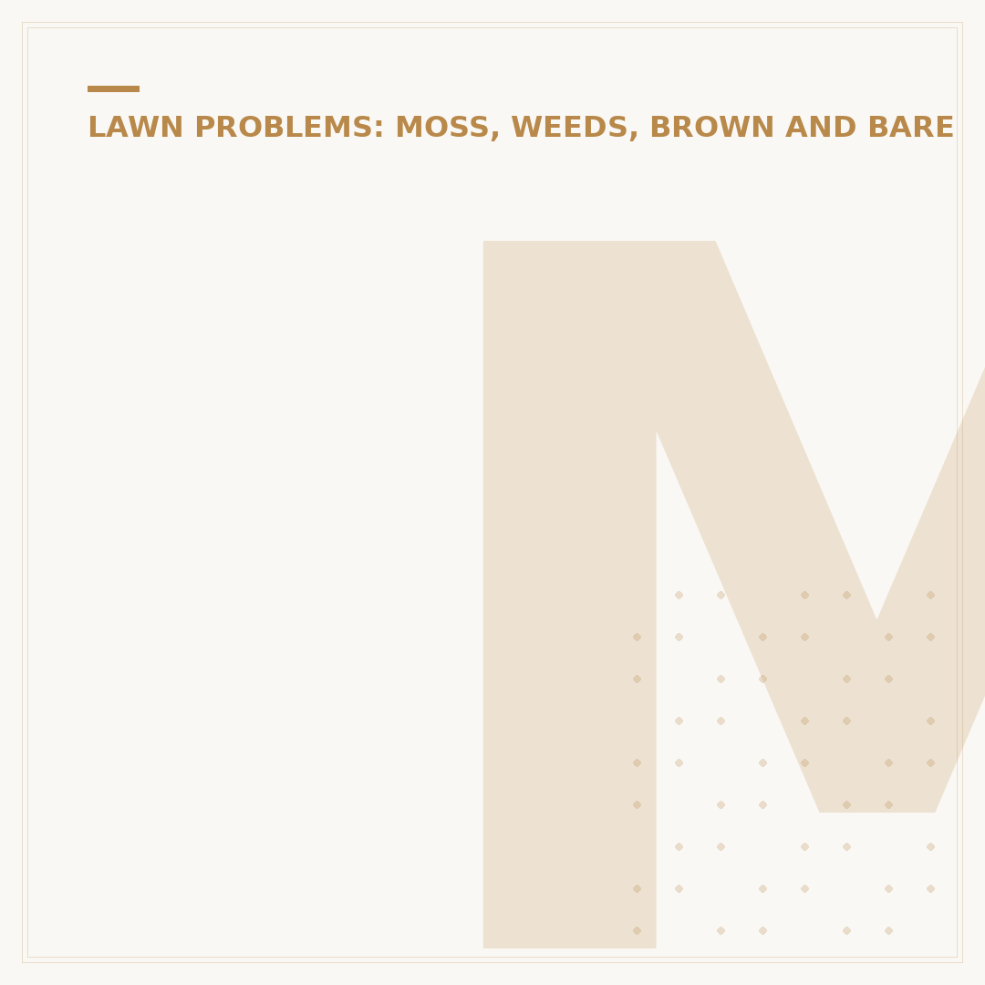 Mo Bacter Moss Killer: Effective Lawn Treatment Options