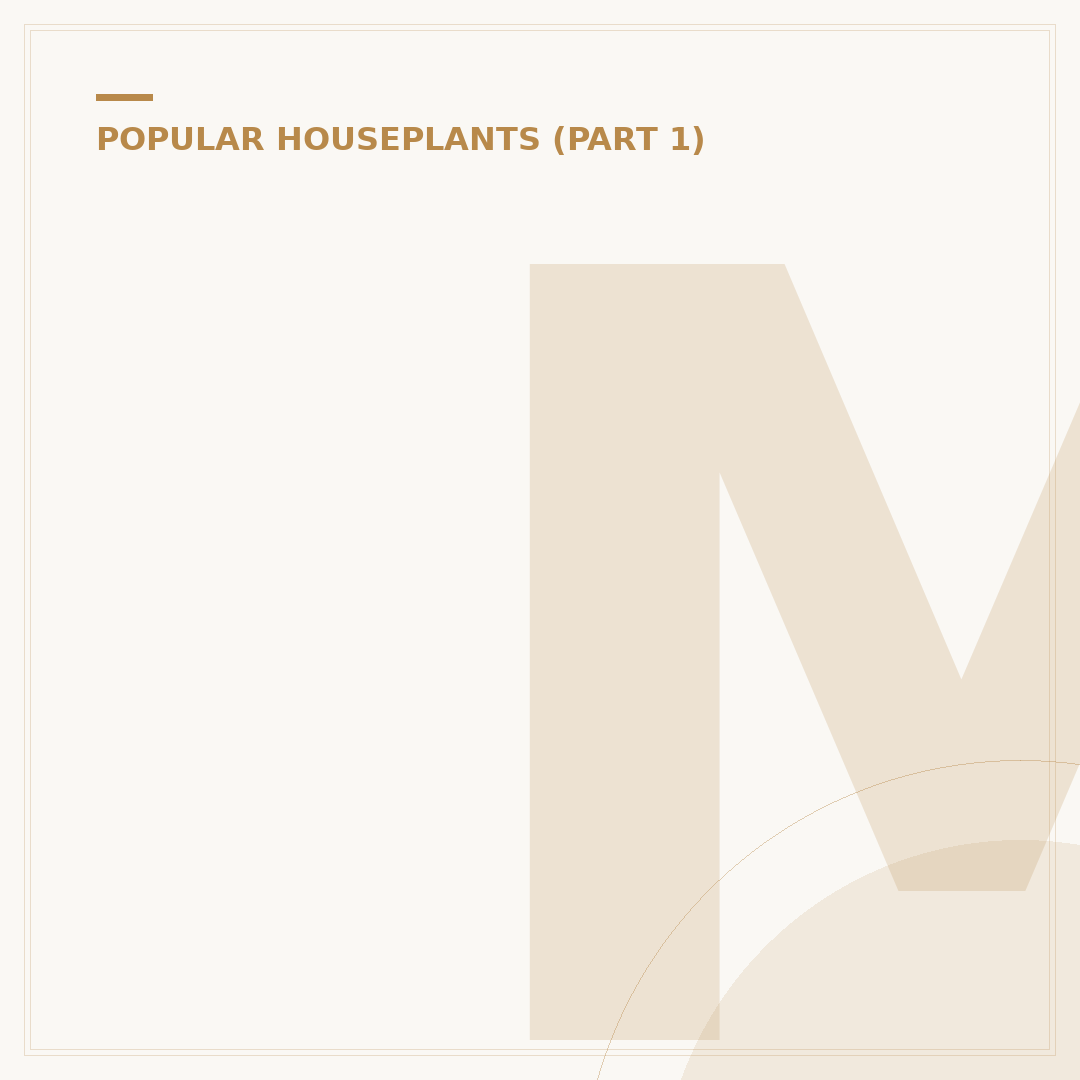 Monstera Deliciosa Yellow Leaves: Causes and Solutions