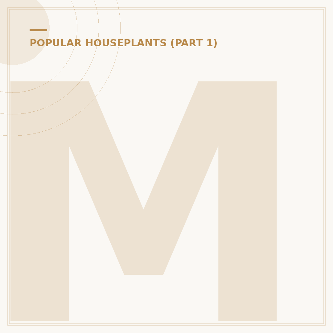 Monstera Fruit: Ripening, Edibility and Growing
