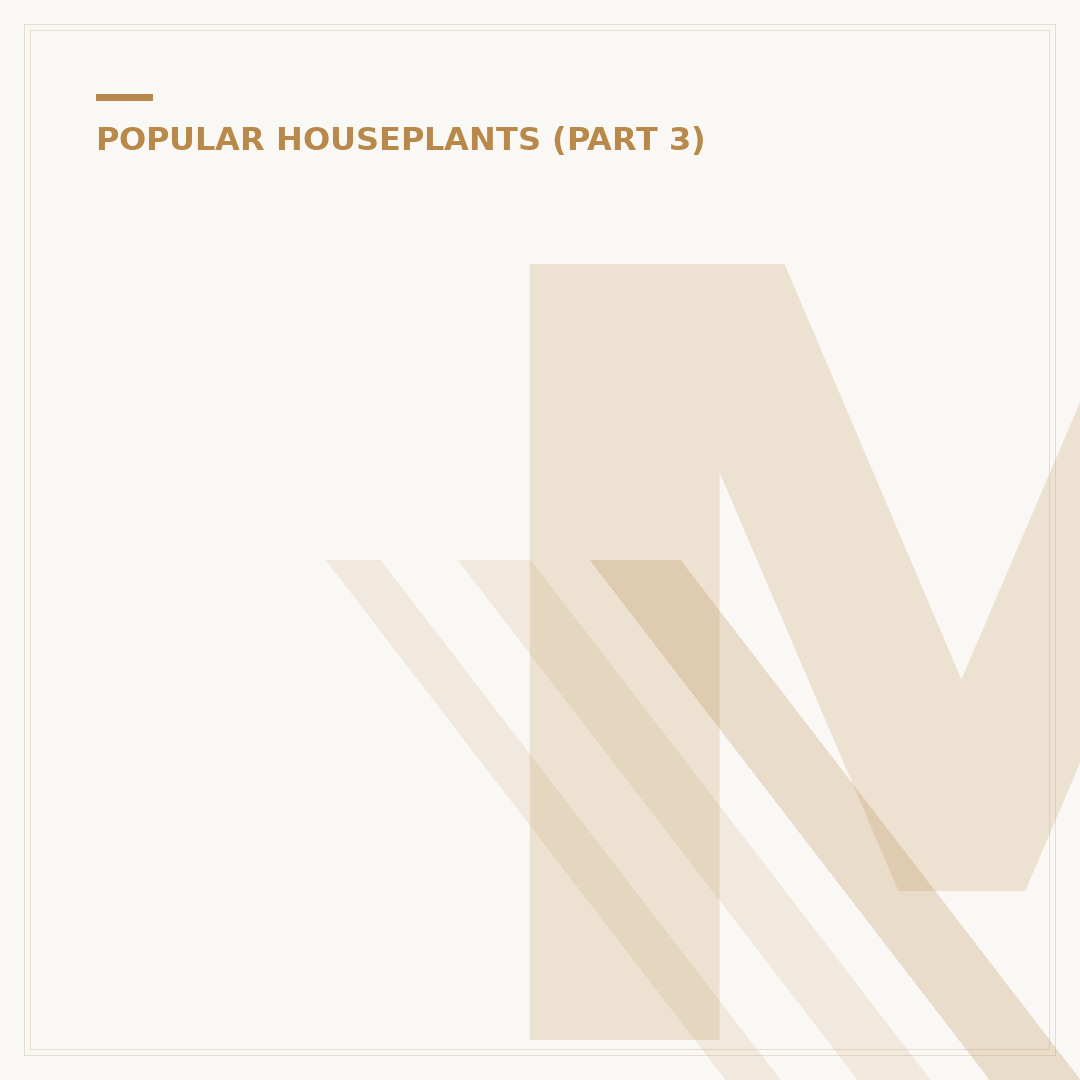Monstera Leaf Turn Yellow: Causes and Solutions
