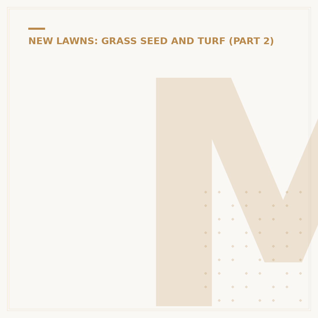 Moss Killing Grass Seed: Solutions for Your Lawn