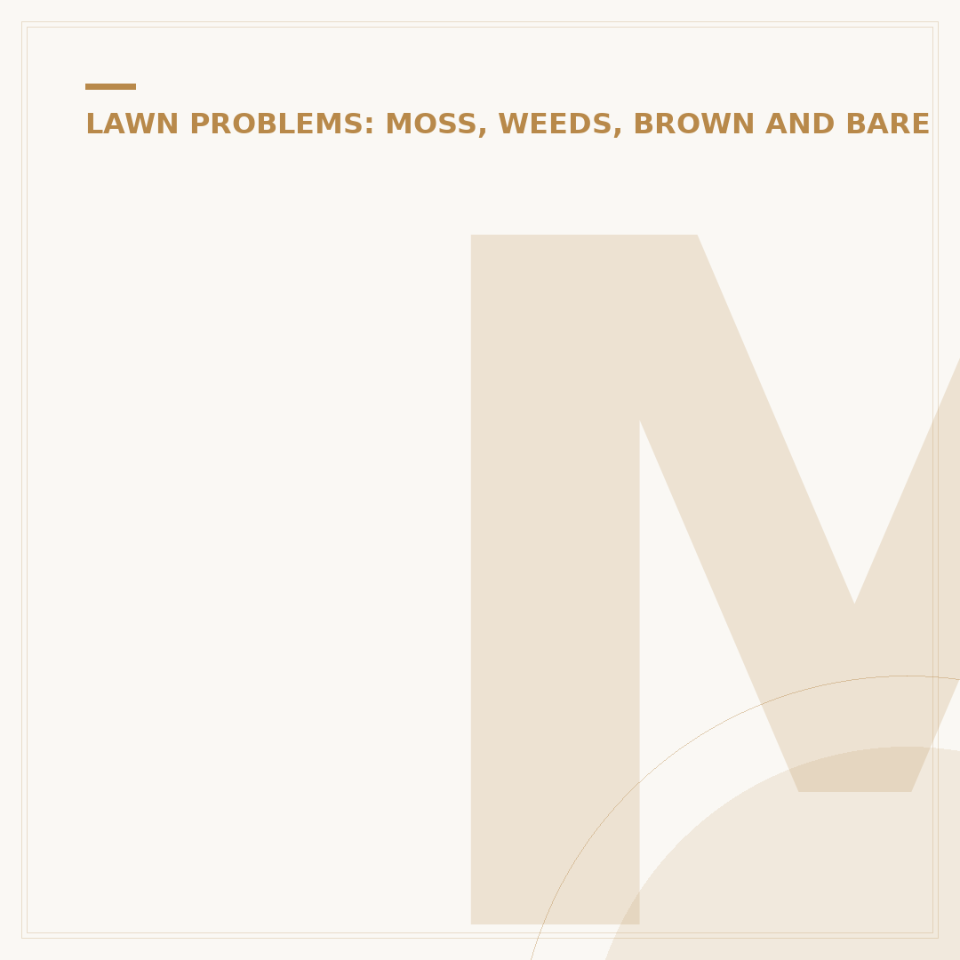 Moss Remover for Lawns: Treatment Options Explained