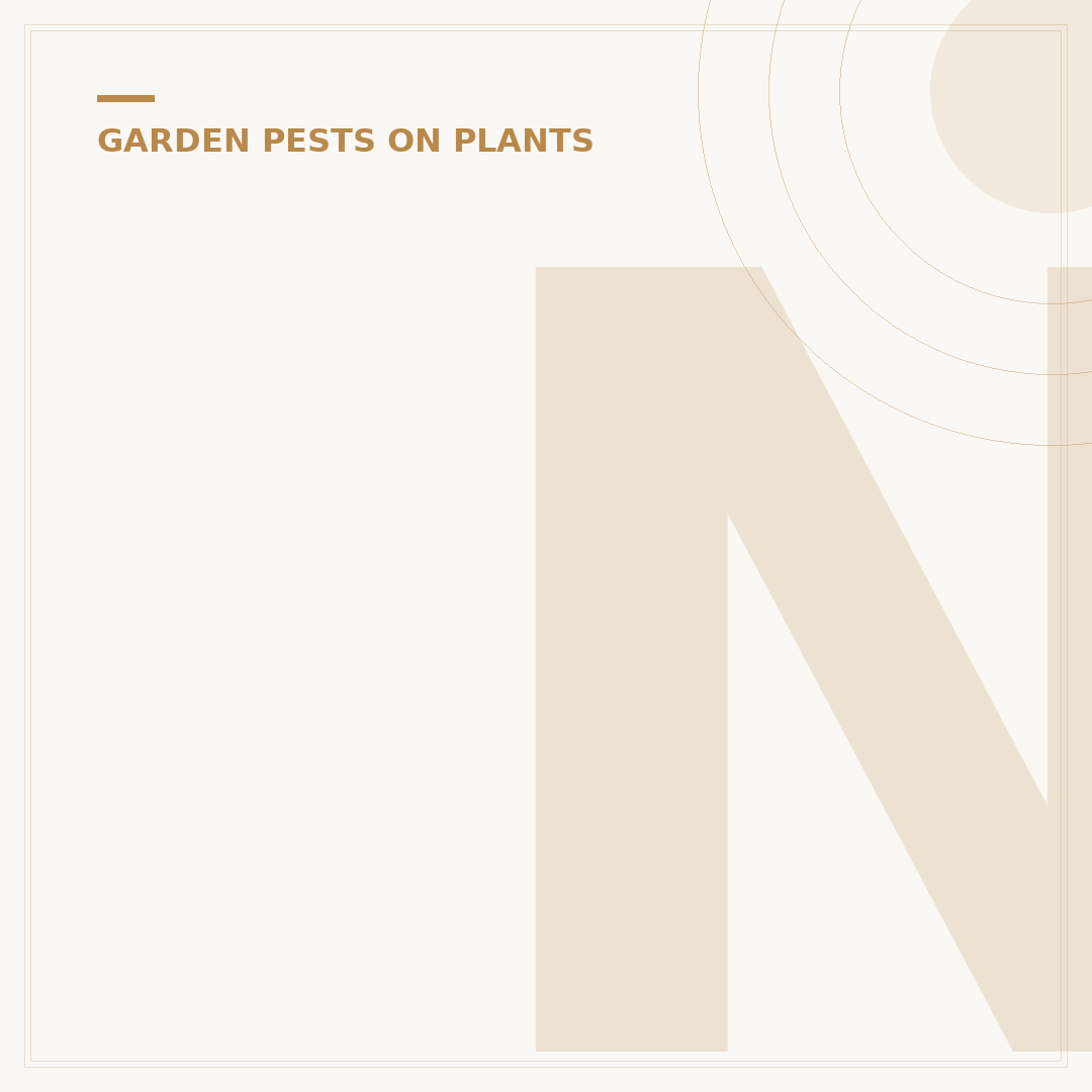 Neem Oil for Aphids